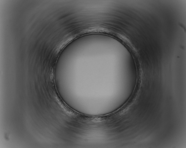 X0000102020841200807180941