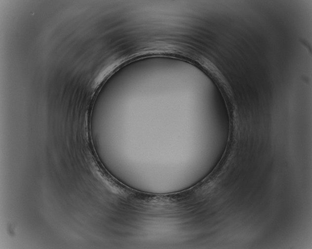 X0000102020842200807180941