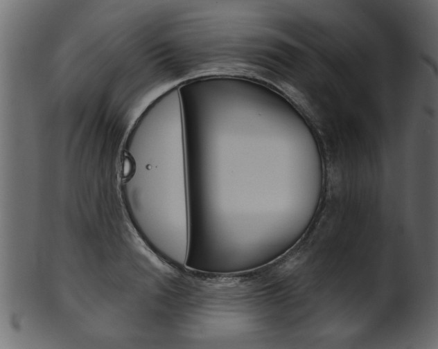X0000102020846200807180941