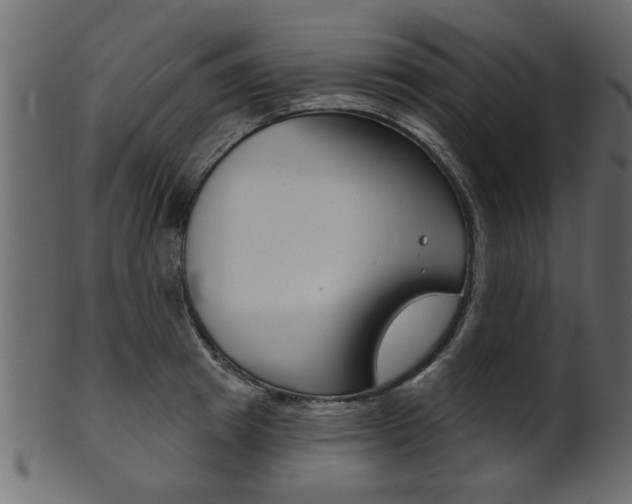 X0000102020849200807180941
