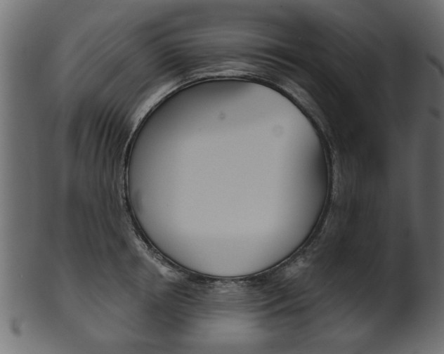 X0000102020850200807180941