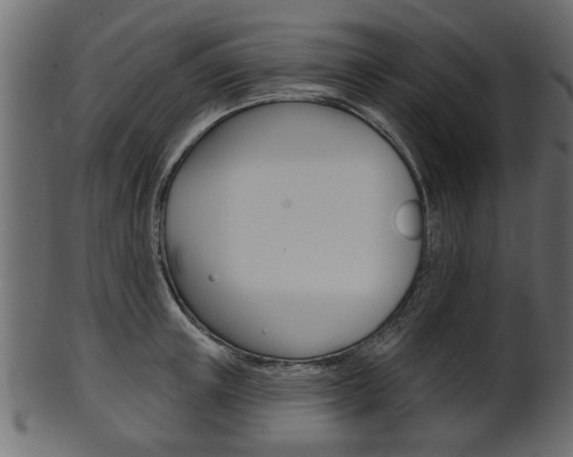X0000102020851200807180941