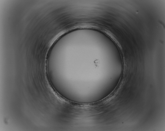 X0000102020853200807180941