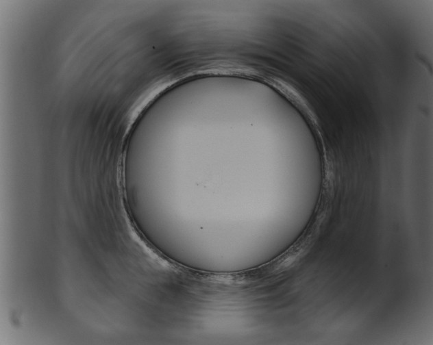 X0000102020855200807180941