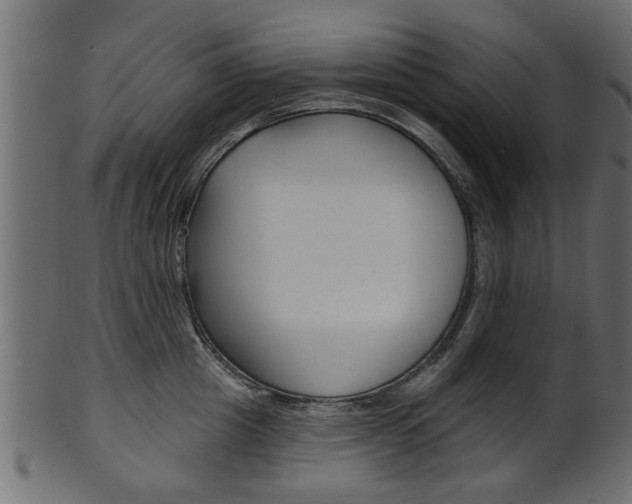 X0000102020857200807180941