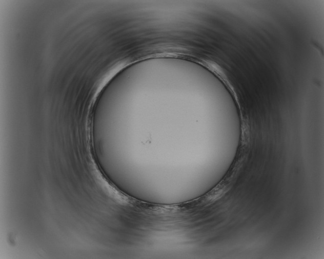 X0000102020859200807180941