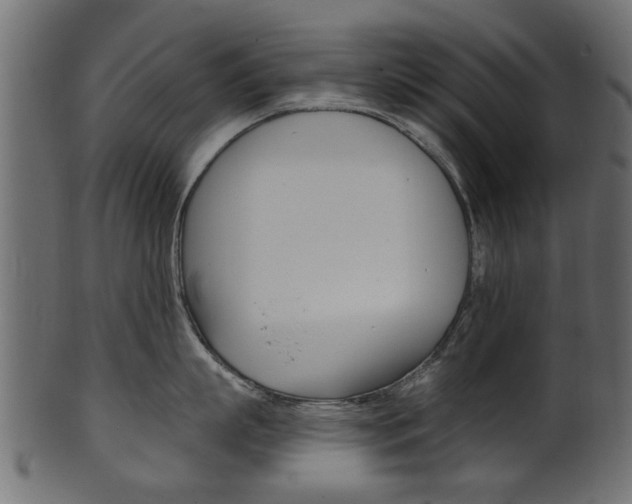 X0000102020863200807180941