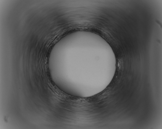 X0000102020867200807180941