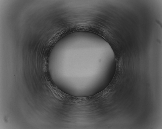 X0000102020868200807180941