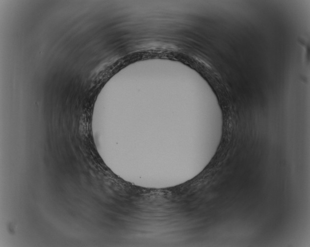 X0000102020869200807180941