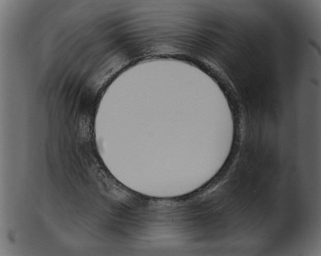 X0000102020873200807180941