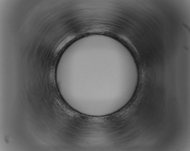 X0000102020874200807180941