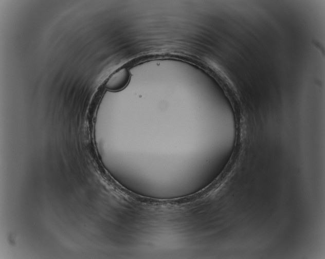 X0000102020876200807180941