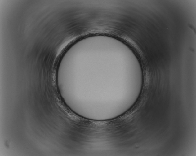 X0000102020878200807180941