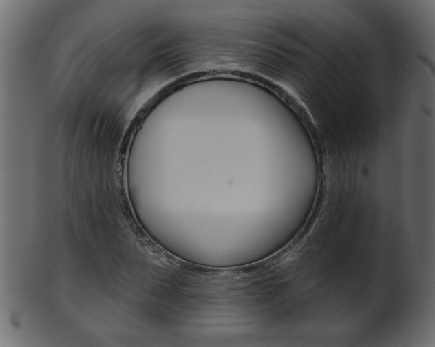 X0000102020879200807180941