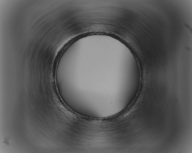 X0000102020880200807180941