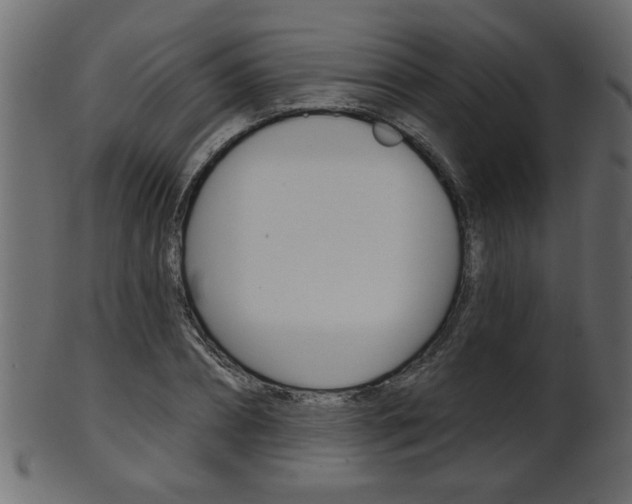 X0000102020882200807180941