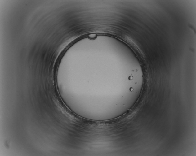 X0000102020884200807180940