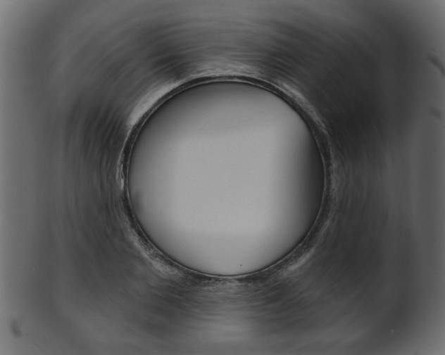 X0000102020885200807180940