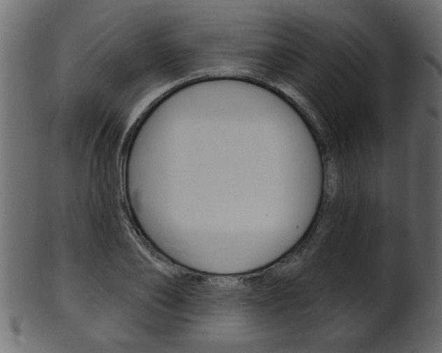 X0000102020886200807180940