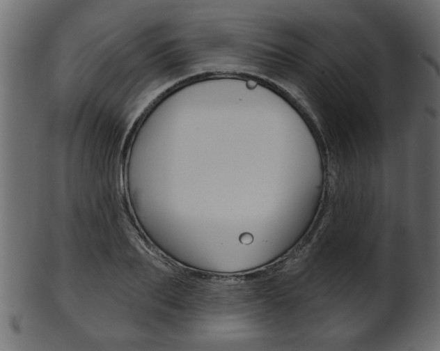 X0000102020887200807180940