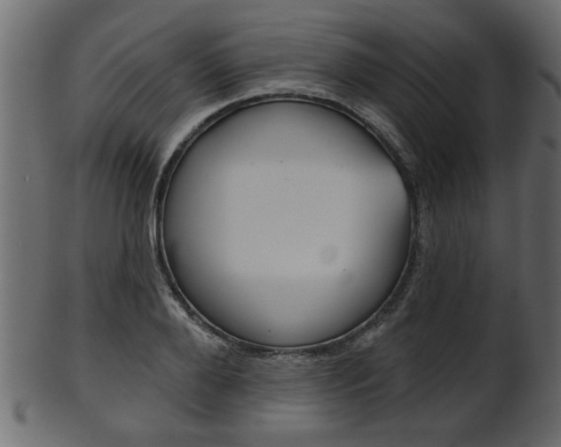 X0000102020888200807180940