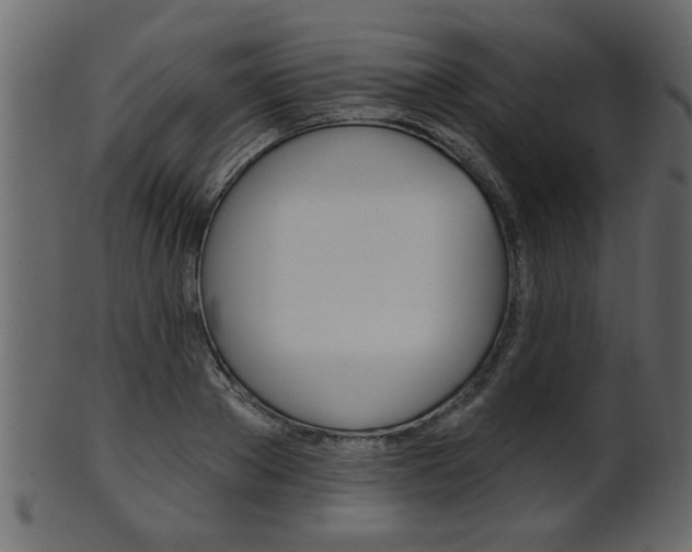 X0000102020889200807180940