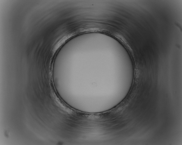 X0000102020890200807180940