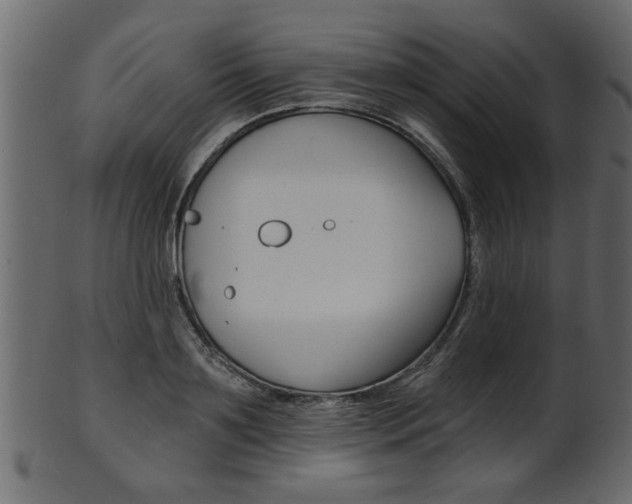 X0000102020891200807180940