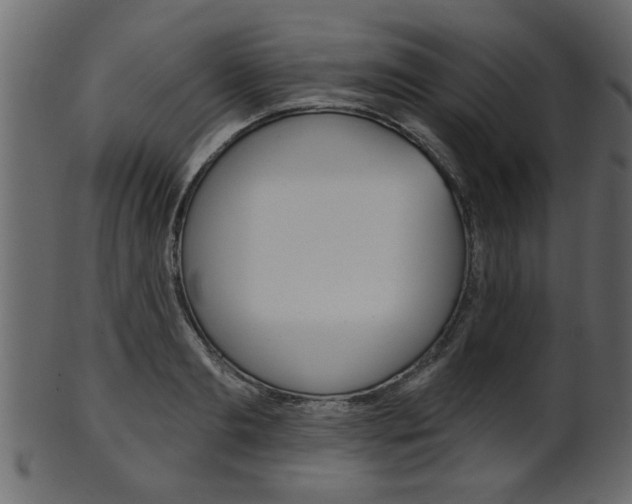 X0000102020893200807180940