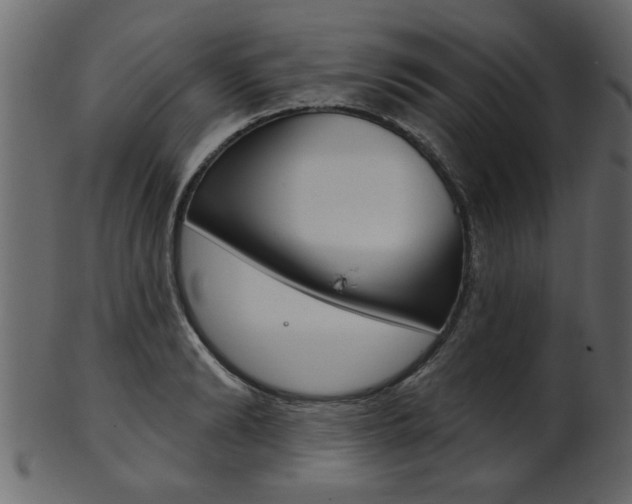 X0000102020894200807180940