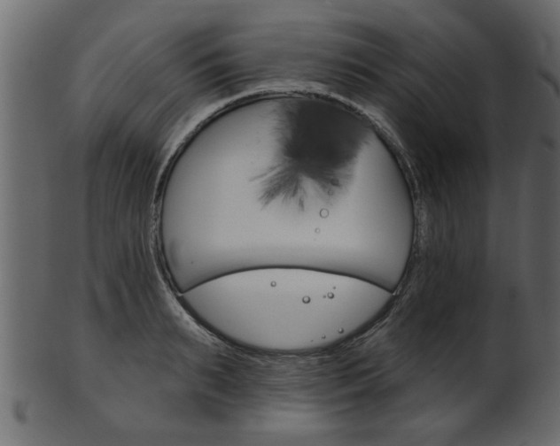 X0000102020895200807180940