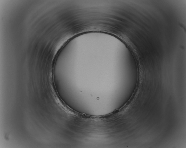 X0000102020896200807180940