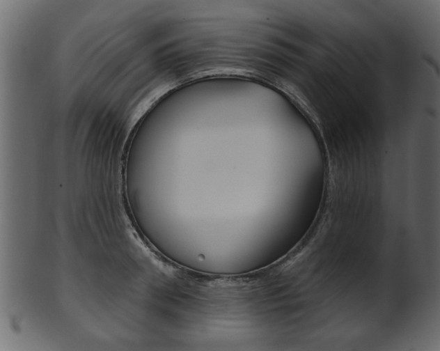 X0000102020898200807180940