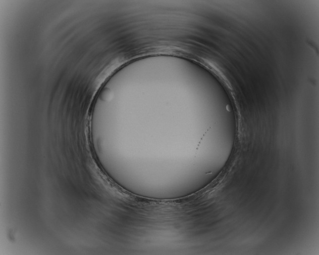X0000102020899200807180940
