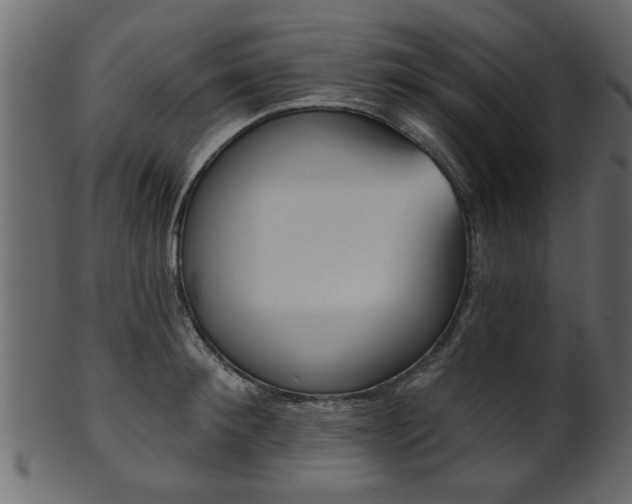 X0000102020900200807180940