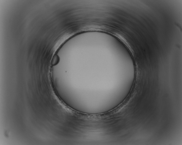 X0000102020901200807180940