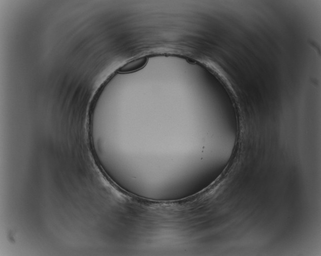 X0000102020902200807180940