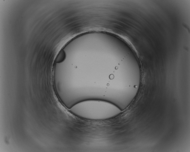 X0000102020903200807180940