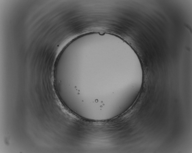 X0000102020904200807180940