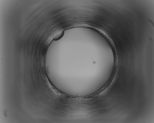 X0000102020905200807180940
