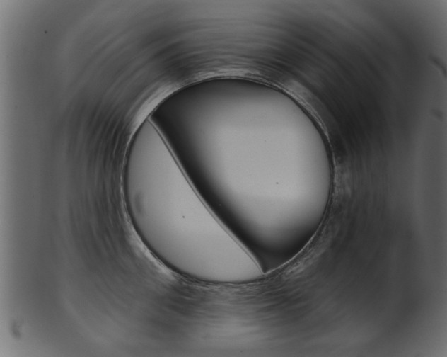 X0000102020906200807180940