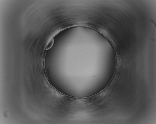 X0000102020908200807180940