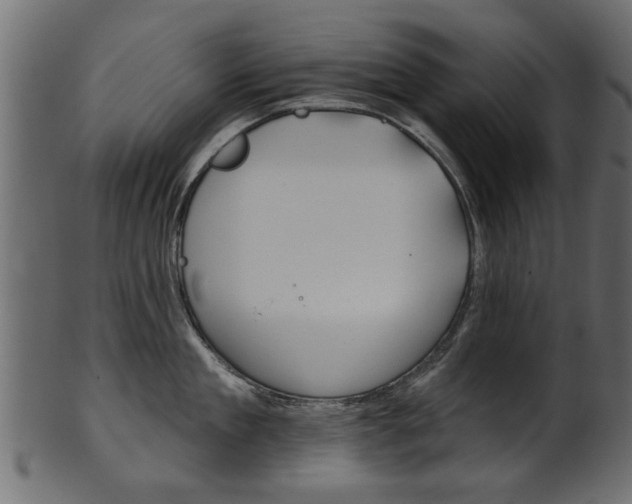 X0000102020909200807180940