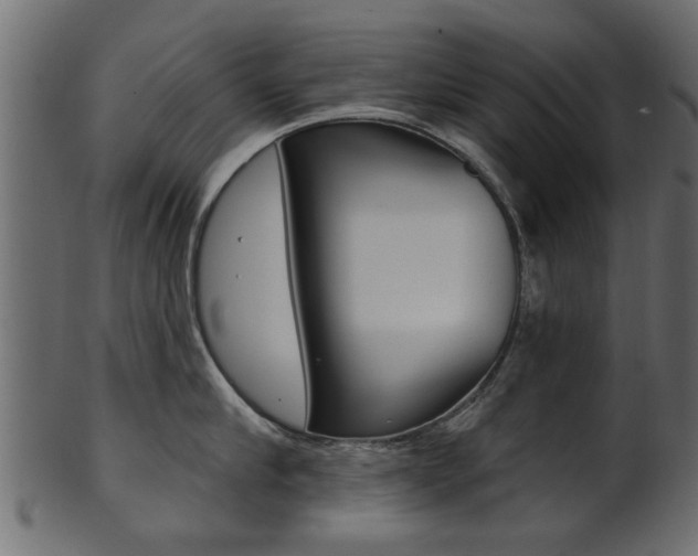 X0000102020910200807180940