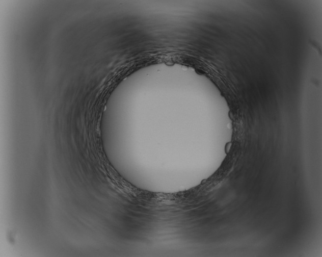 X0000102020913200807180939