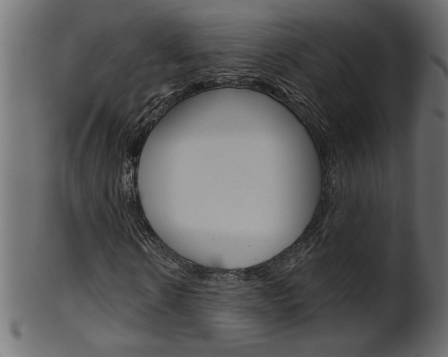 X0000102020914200807180939