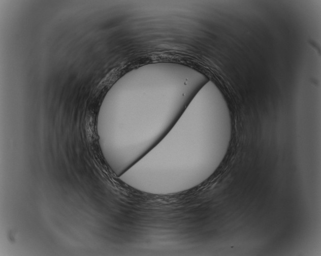 X0000102020915200807180939