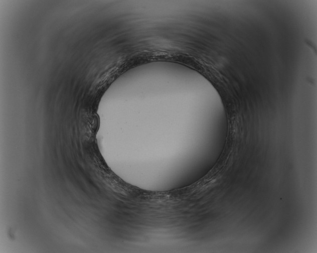 X0000102020916200807180939