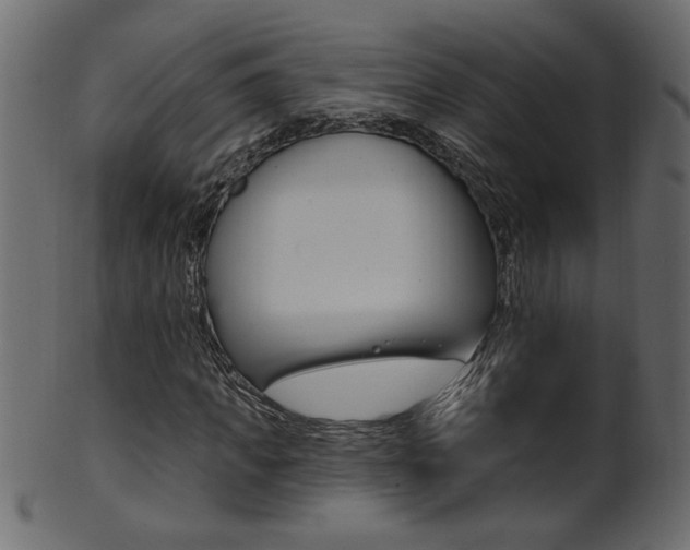 X0000102020917200807180939